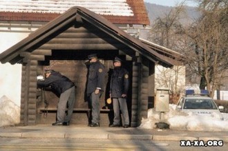 1002.jpg