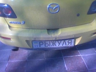 48456396.jpg