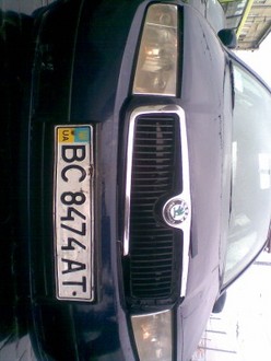 191.jpg
