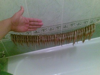 14072009.jpg