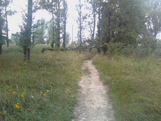 IMG200-01.jpg