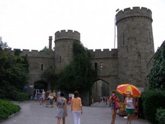 P7260350_resize.JPG