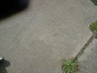 P041009_13.13.JPG