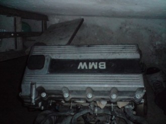P111009_12.35.JPG