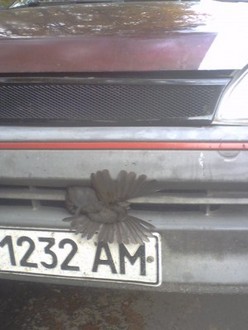 P10-18-09_15.25.jpg