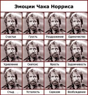 16527949_Chuk20Noris.jpg