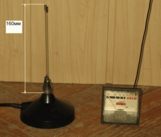 IMG_4551_resize.gif