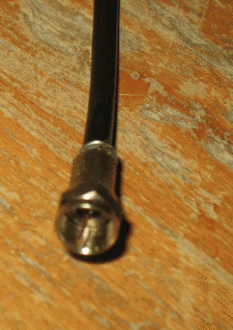 IMG_4554_resize.gif