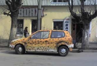 кошка.jpg