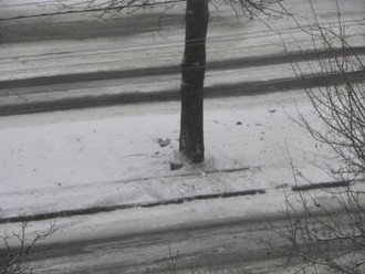 DSCN2643.jpg