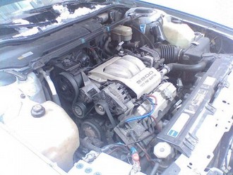 7445974f.jpg