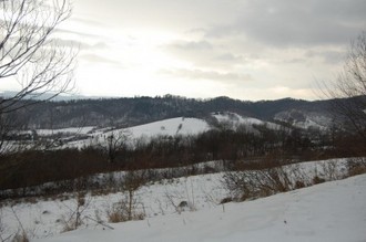 DSC_0003.JPG