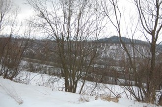 DSC_0005.JPG