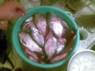 21022010(001).jpg