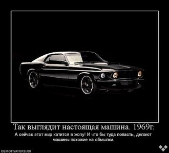 5340885f.jpg