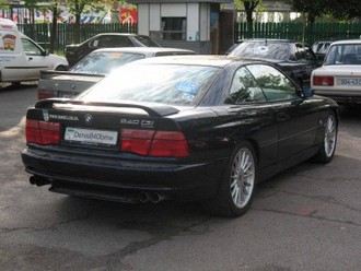 IMG_0528.jpg