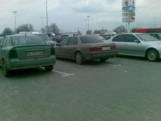 Зобр050.jpg
