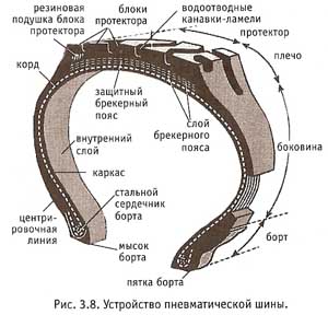 ris_3.8.jpg