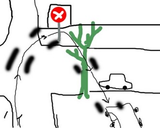 1267634.jpg