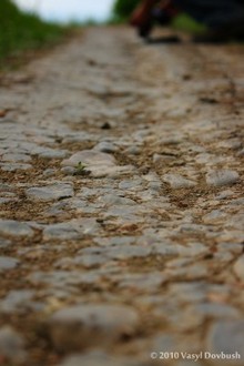 IMG_4541.JPG