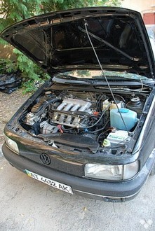 1114191f.jpg