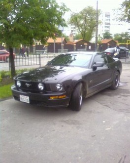 mustang vs USA number.jpg