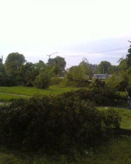 Photo-0002.jpg