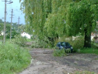 03062010745.jpg