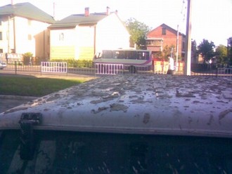 07062010(002).jpg