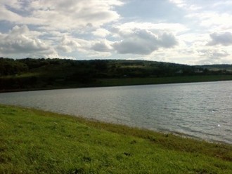 x_3429d544.jpg