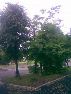 14062010(002).jpg