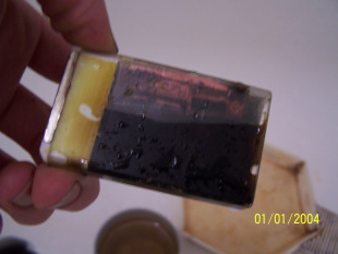 100_6271.JPG