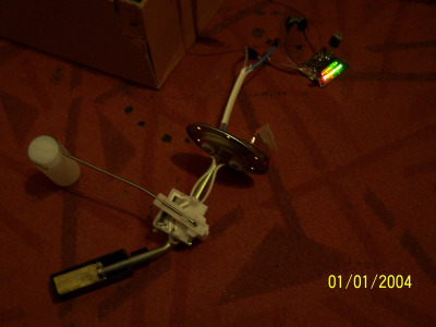 100_6307.JPG