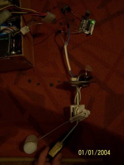 100_6317.jpg