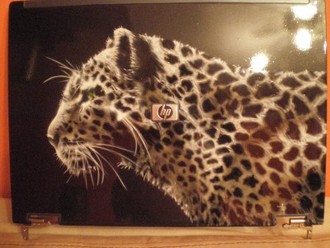 gepard1.jpg