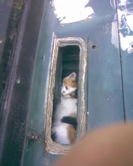 Зобр014.jpg