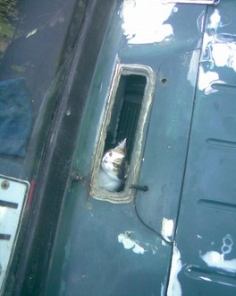 Зобр015.jpg