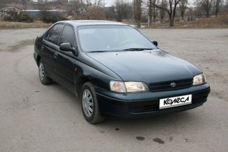 cerina.jpg