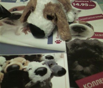 DOG_SP_A0740.jpg