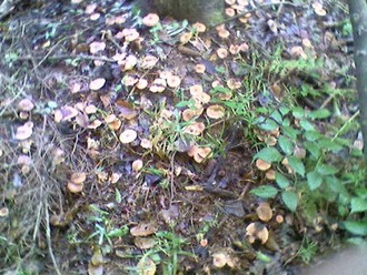 Pост-0116.jpg