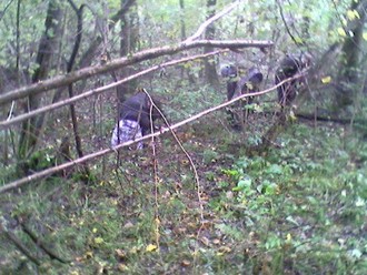 Pост-0113.jpg