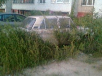 Зображення0145.jpg