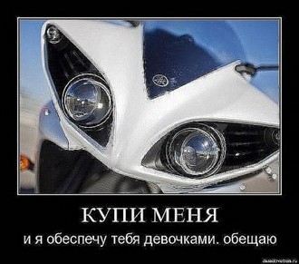 x_22d86e49.jpg