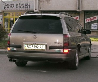 P1011010.jpg
