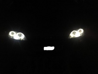 2010-12-22 18.32.20.jpg