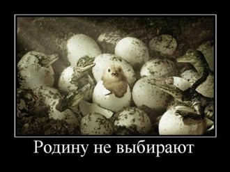 1277772478_demotivatory_63.jpg