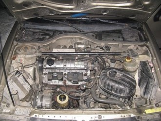 IMG_01291.JPG
