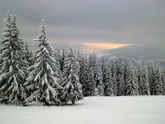 Зображення0261.jpg
