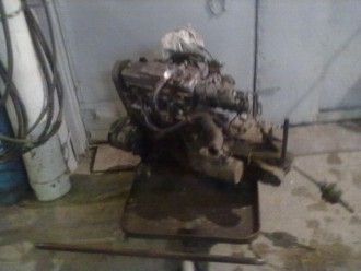 01032011174.jpg