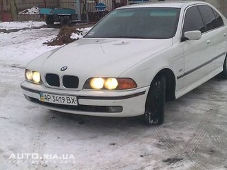 17998214f.jpg